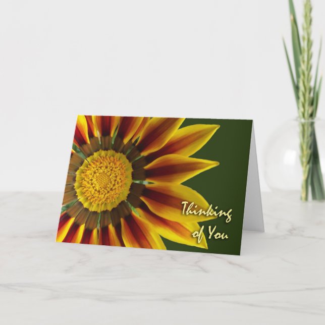 Penser à vous, Fleur Gazania, Carte blanche (Devant)