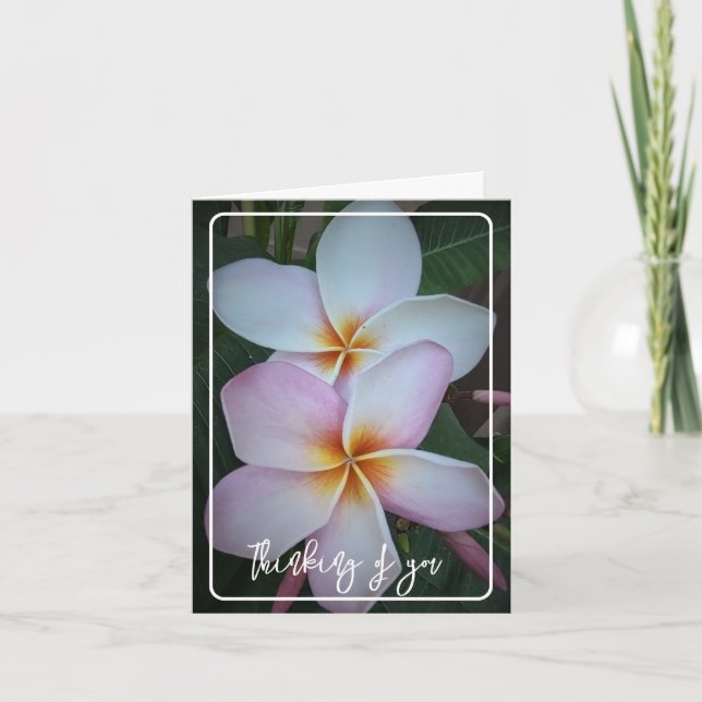 Penser à vous Halo Plumeria Carte de voeux pliée (Devant)
