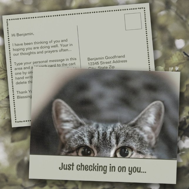 Penser à vous mignon Cat Caption Modèle Carte post (Thinking of You "Just Checking in on You" Cute Cat Personalized Caption Template Postcard)