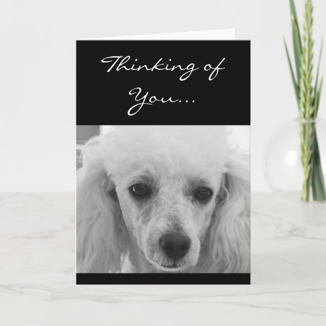 Penser à vous Poodle chien carte de voeux (Devant)