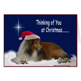 Penser à vous Sheltie Cartes pour notes