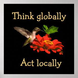 Penser Mondialement Agir Localement Poster Colibri
