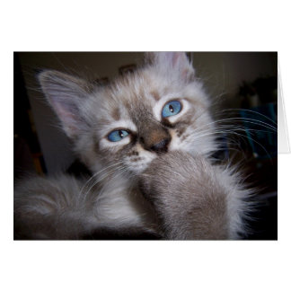 Penseur introspectif