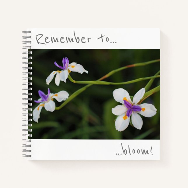 Pensez à fleurir le Carnet Fleurs d'Iris Sauvages (Devant)