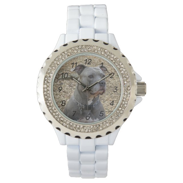 Pensez à la montre numérique féminine de Pitbull (devant)