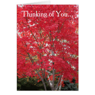 Pensez à vous Red Fall Leaves Card