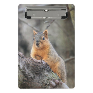 pensiv mini klemmbrett