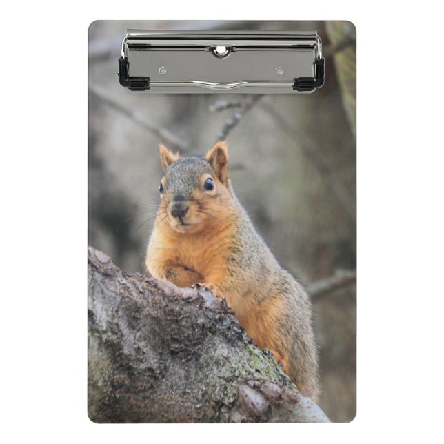 pensiv mini klemmbrett (Vorderseite)