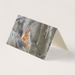 pensiv visitenkarten