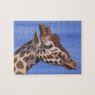 Pensive Giraffe
