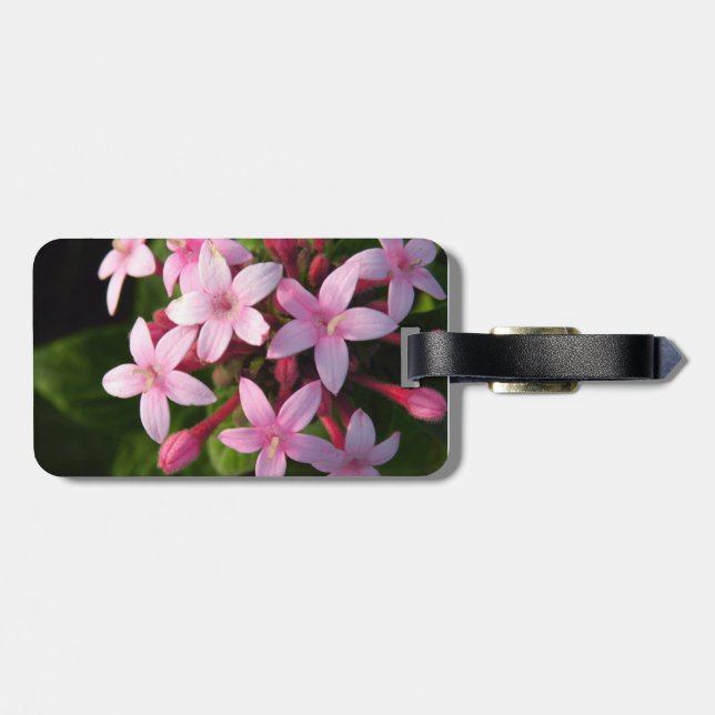 Pentas Gepäckanhänger (Rückseite horizontal)