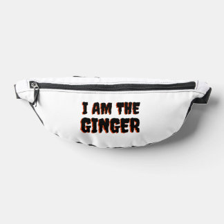 Penzdykas5 Bauchtasche