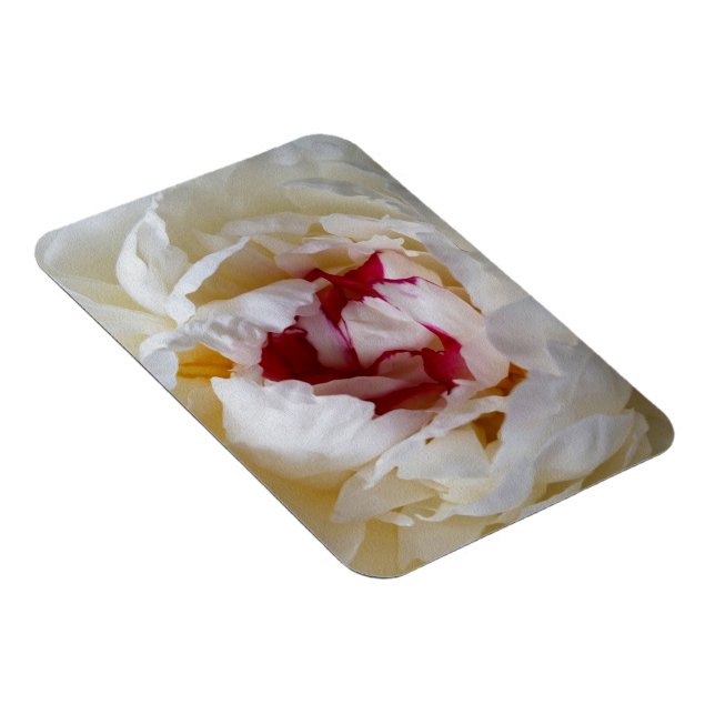 Peonblätter Magnet (Rechte Seite)