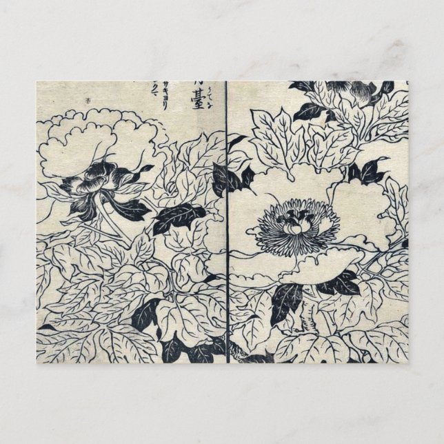 Peonblüten von Tachibana, Yasukuni Ukiyos Postkarte (Vorderseite)