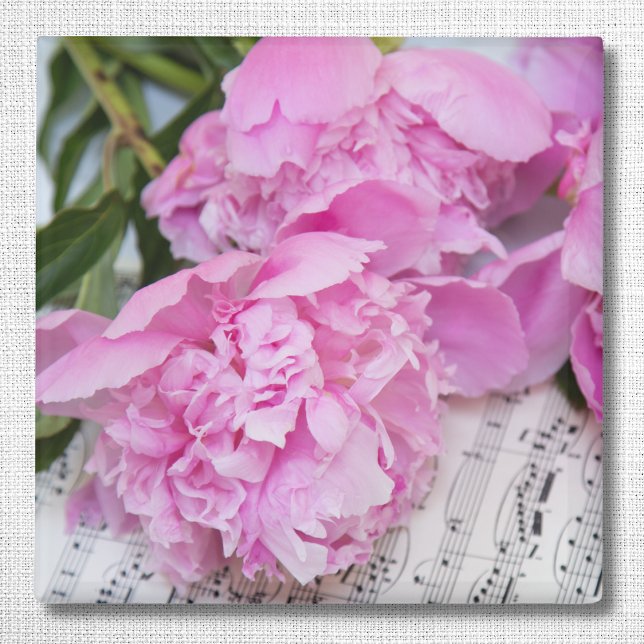 Peonies auf Klaviermusik Magnet (Von Creator hochgeladen)