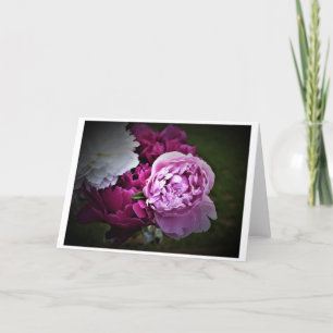 Peonies, carte