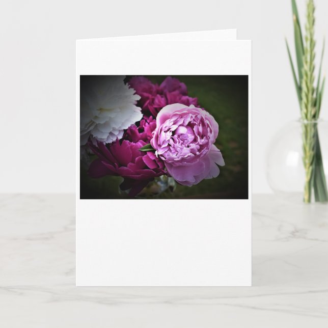 Peonies, carte (Devant)