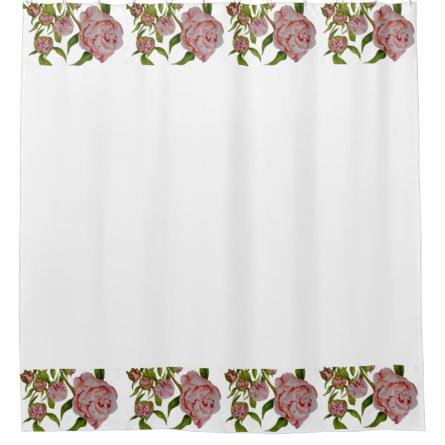 Peonies de boudin sur un rideau de douche (Devant)