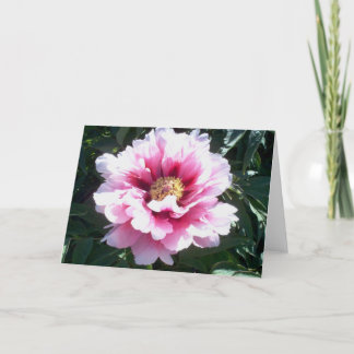 Peonies Karte