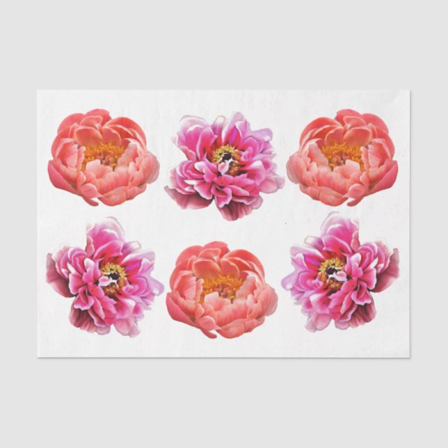 Peonies - Korallen & Rosa - Dekoupage Tissue Paper Seidenpapier (Vorderseite)