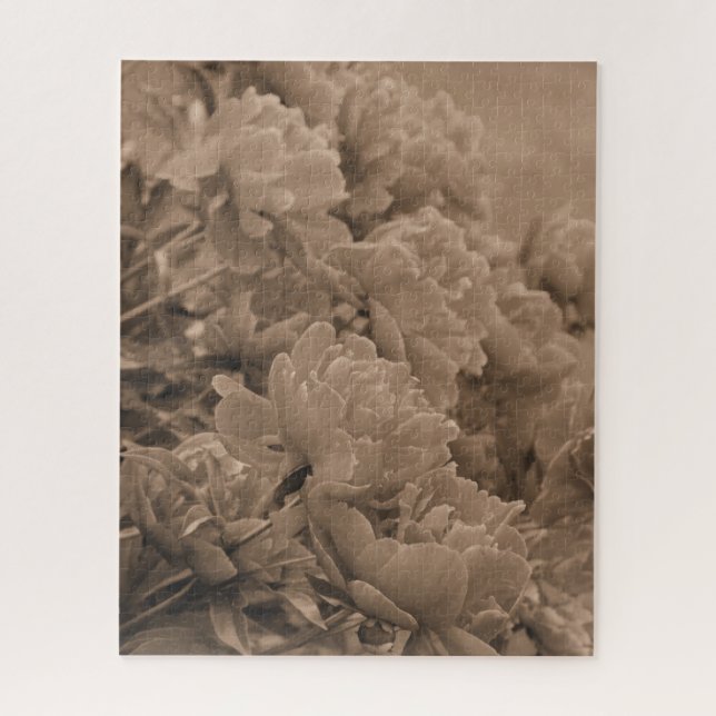 Peonies Multiple in Sepia (Vertikal)