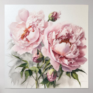 Peonies roses Flower Art Imprimer Poster