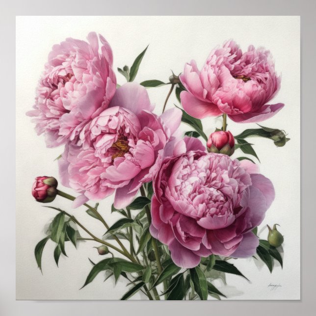 Peonies roses Flower Art Imprimer Poster (Devant)
