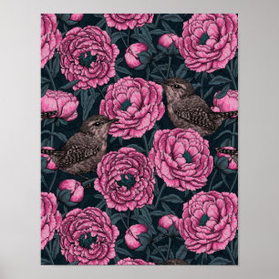 Peonies und Warnen auf dunkelgrau Poster