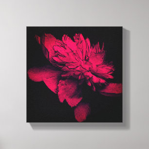 Peony Abstrakt Floral Art Leinwanddruck