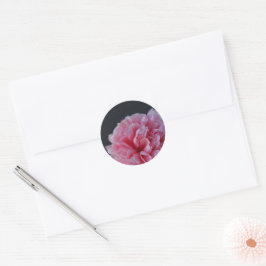 Peony auf dunklem Hintergrund Runder Aufkleber