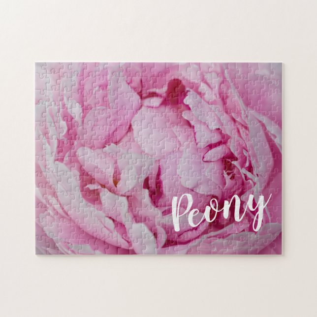 Peony Blossom Rose für Blume- und Gartenliebhaber (Horizontal)