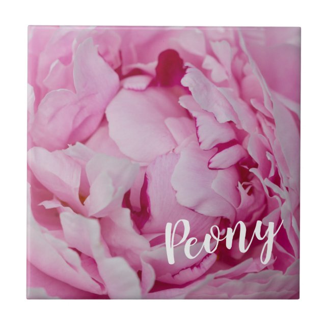 Peony Blossom Rose für Blume- und Gartenliebhaber Fliese (Vorderseite)