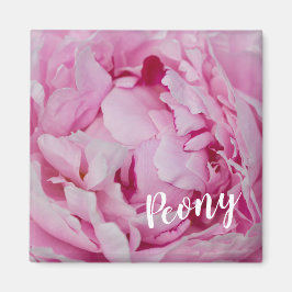 Peony Blossom Rose für Blume- und Gartenliebhaber Magnet