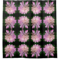 Peony Blume in Bloom Nattern Muster