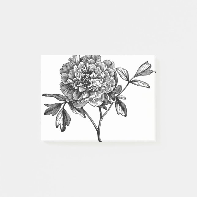 Peony Blume Line Art Pflanze Post-it Klebezettel (Vorderseite)