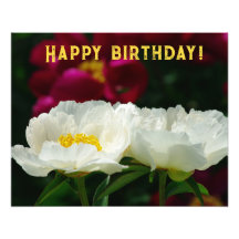 Peony/Blume Magic/White Blume/Happy Birthday/