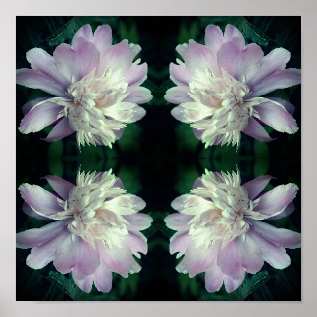 Peony Blume Nature Abstrakt Poster (Vorne)