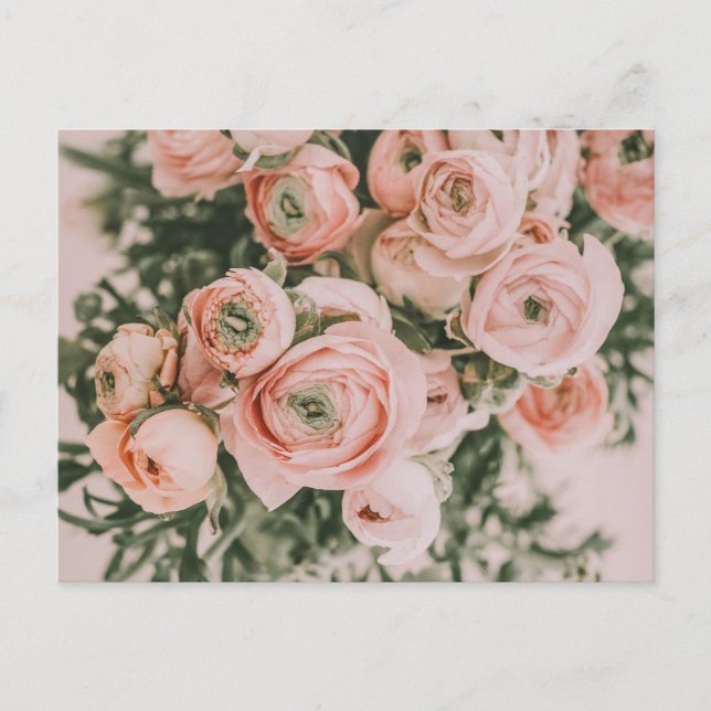 PEONY BLUME POSTCARD POSTKARTE (Vorderseite)