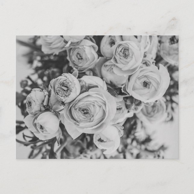 PEONY BLUME POSTCARD POSTKARTE (Vorderseite)