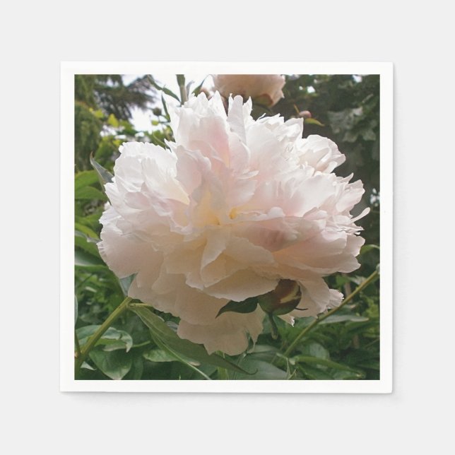 Peony. Blume. Serviette (Vorderseite)