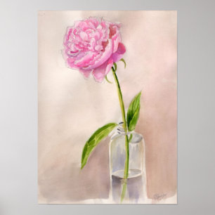 Peony Blume Still Life in Watercolor Poster
