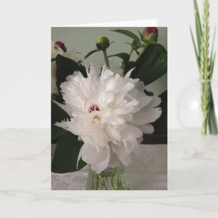 Peony, Card Karte