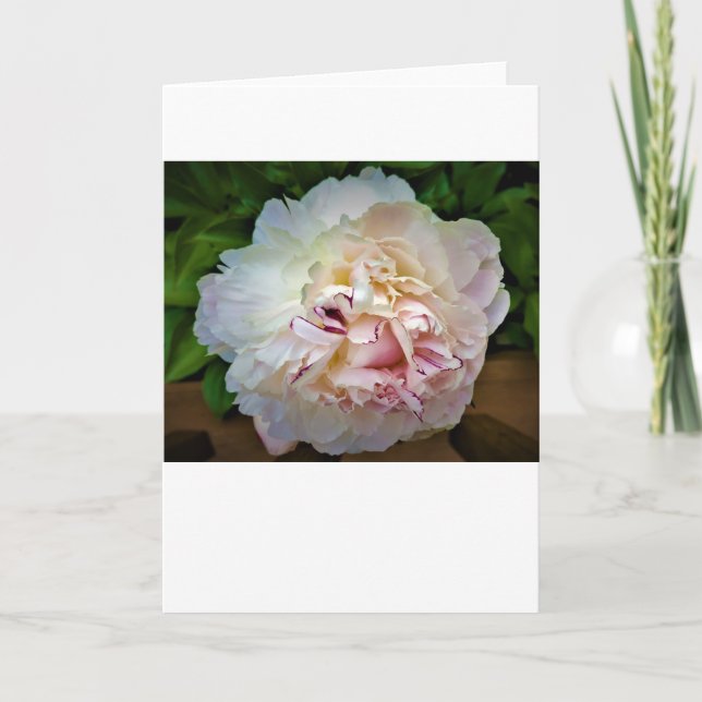 Peony, carte (Devant)