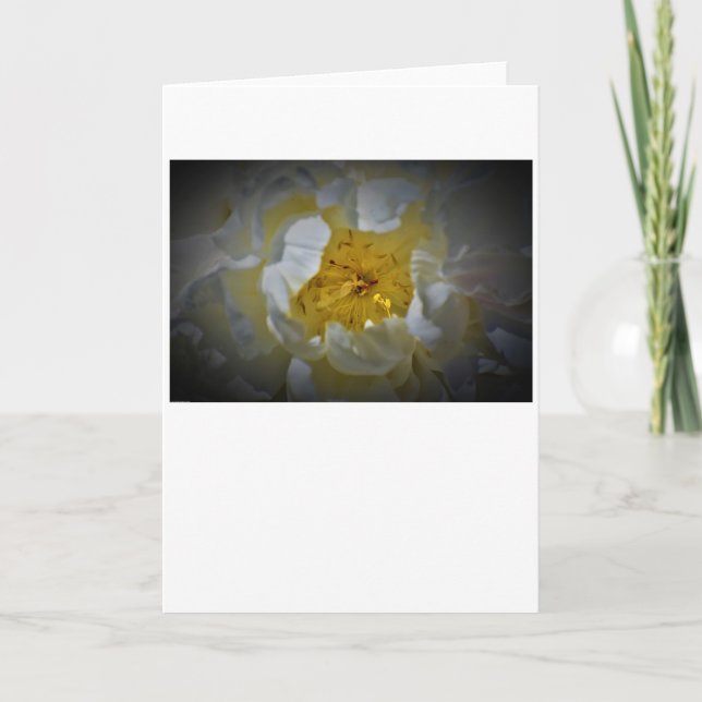 Peony, carte (Devant)