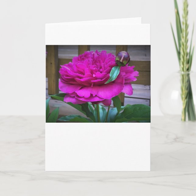 Peony, carte (Devant)