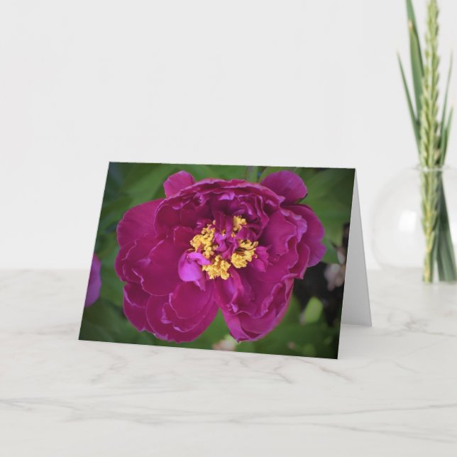 Peony, carte (Devant)