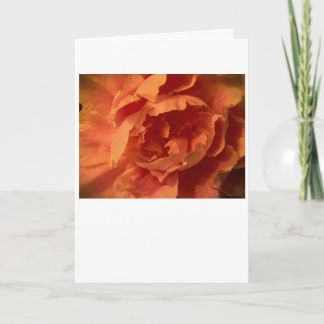 Peony, carte (Devant)