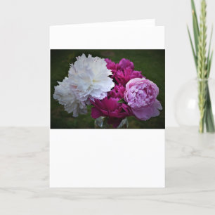 Peony, carte