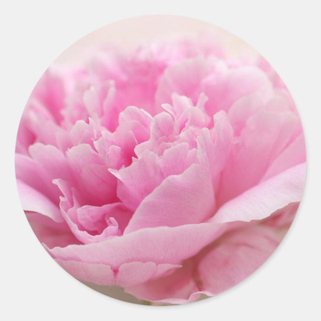 Peony Closeup Umschlag Aufklebers Runder Aufkleber (Vorderseite)