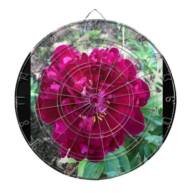 Peony Dartboard Dartscheibe (vorne)